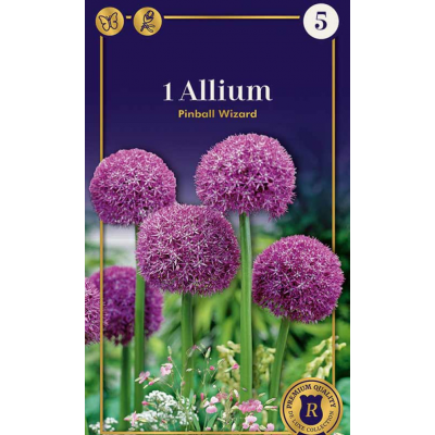 Семена Аллиум Pinball Wizard (R. De Ree)