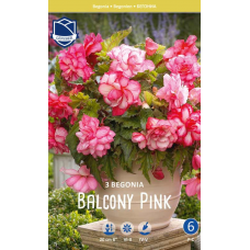 Семена Бегония Balcony Pink (Lefeber)