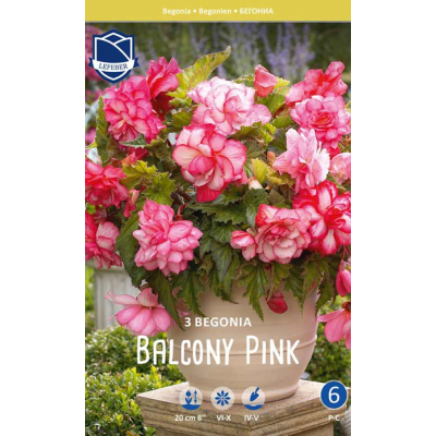 Семена Бегония Balcony Pink (Lefeber)