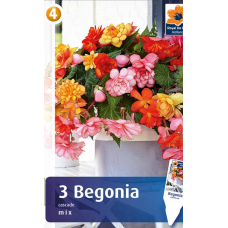Семена Бегония Cascade Mix (R. De Ree)