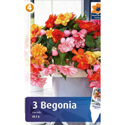 Семена Бегония Cascade Mix (R. De Ree)