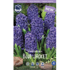 Семена Гиацинты Blue Jacket (Lefeber)