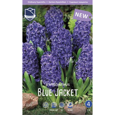 Семена Гиацинты Blue Jacket (Lefeber)