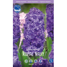 Семена Гиацинты Royal Navy (Lefeber)