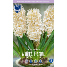 Семена Гиацинты комнатные White Pearl (Lefeber)