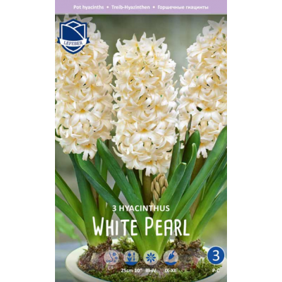 Семена Гиацинты комнатные White Pearl (Lefeber)