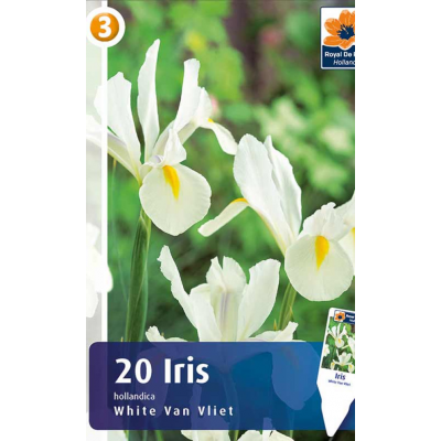 Семена Ирис Hollandica White Van Vliet (R. De Ree)