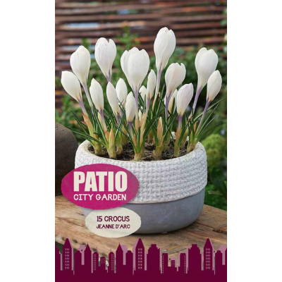 Семена Крокусы Jeanne d'Arc (серия Patio City Garden) (15 шт. в упак.) (R. De Ree)