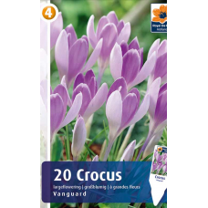 Семена Крокусы Vanguard (R. De Ree)