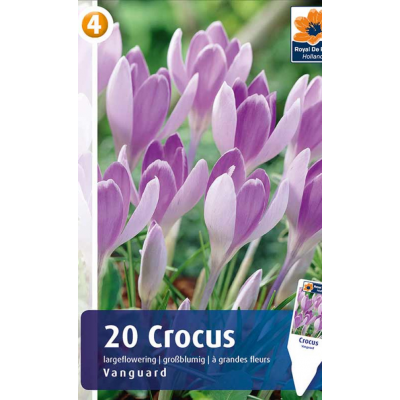 Семена Крокусы Vanguard (R. De Ree)