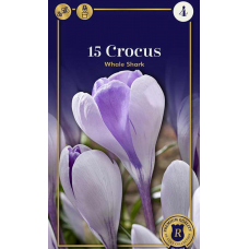 Семена Крокусы Whale Shark (R. De Ree)