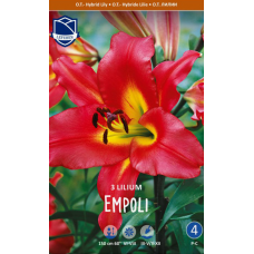 Семена Лилия O.T. Empoli (Lefeber)