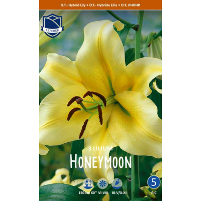 Семена Лилия O.T. Honeymoon (Lefeber)