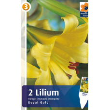 Семена Лилия Royal Gold (R. De Ree)