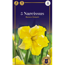 Семена Нарциссы Banana Daiquiri (R. De Ree)