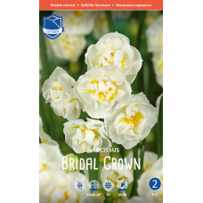 Семена Нарциссы Bridal Crown (Lefeber)