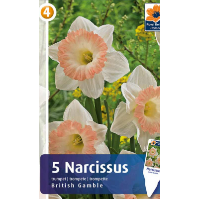 Семена Нарциссы British Gamble (R. De Ree)