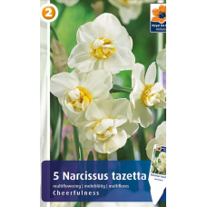 Семена Нарциссы Cheerfulness (R. De Ree)