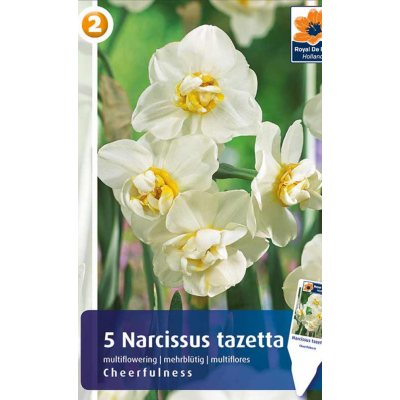 Семена Нарциссы Cheerfulness (R. De Ree)