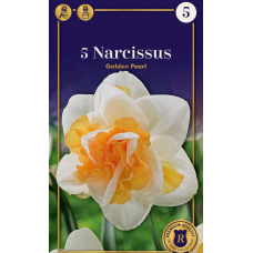 Семена Нарциссы Golden Pearl (R. De Ree)