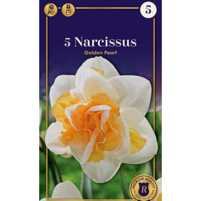 Семена Нарциссы Golden Pearl (R. De Ree)