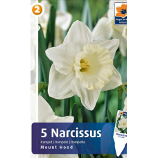 Семена Нарциссы Mount Hood (R. De Ree)