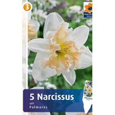 Семена Нарциссы Palmares (R. De Ree)