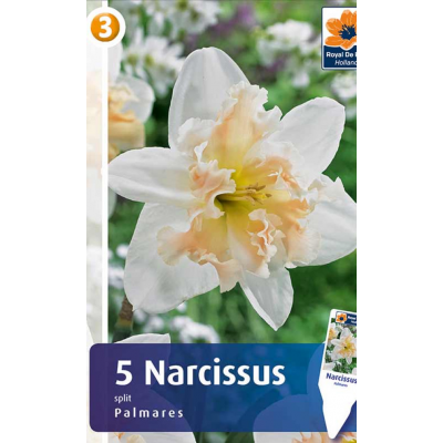 Семена Нарциссы Palmares (R. De Ree)