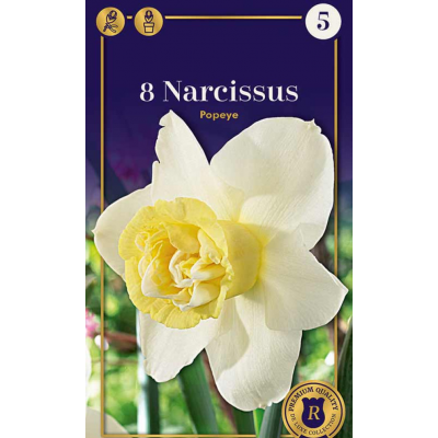 Семена Нарциссы Popeye (R. De Ree)