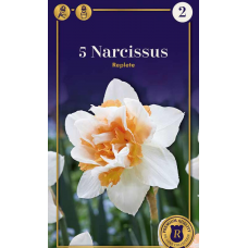 Семена Нарциссы Replete (R. De Ree)
