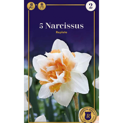 Семена Нарциссы Replete (R. De Ree)
