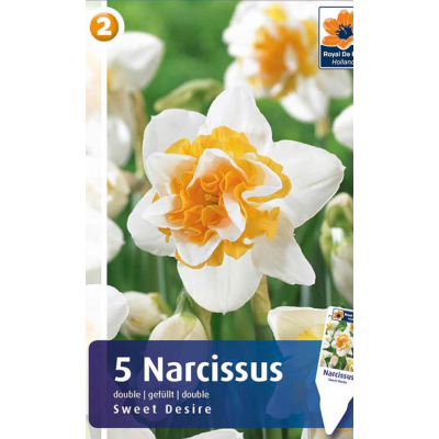 Семена Нарциссы Sweet Desire (R. De Ree)