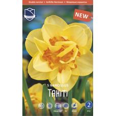 Семена Нарциссы Tahiti (Lefeber)