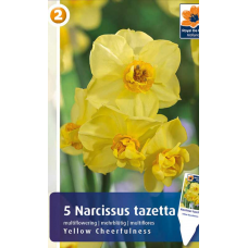 Семена Нарциссы Yellow Cheerfulness (R. De Ree)