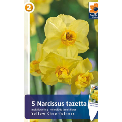 Семена Нарциссы Yellow Cheerfulness (R. De Ree)