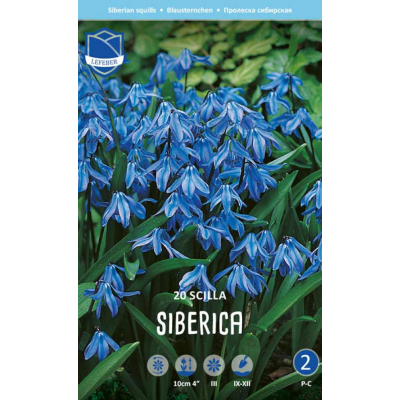 Семена Сцилла siberica (Lefeber)