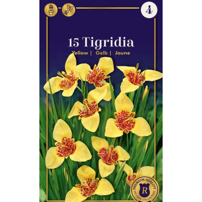 Семена Тигридия Yellow (R. De Ree)