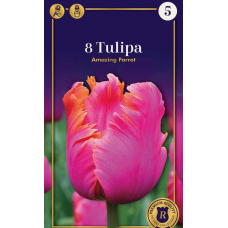 Семена Тюльпаны Amazing Parrot (R. De Ree)