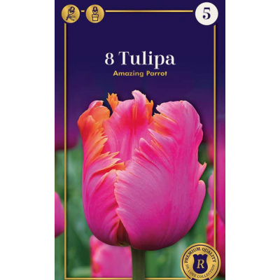 Семена Тюльпаны Amazing Parrot (R. De Ree)