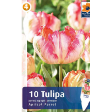 Семена Тюльпаны Apricot Parrot (R. De Ree)