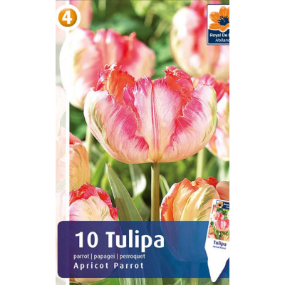 Семена Тюльпаны Apricot Parrot (R. De Ree)