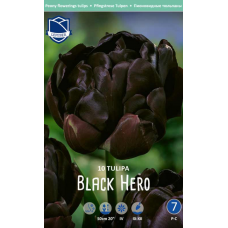 Семена Тюльпаны Black Hero (Lefeber)