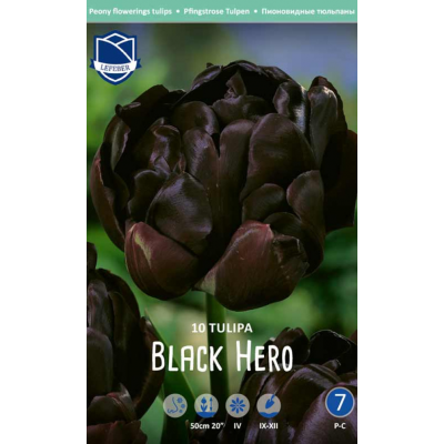 Семена Тюльпаны Black Hero (Lefeber)