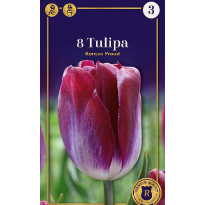 Семена Тюльпаны Kansas Proud (R. De Ree)