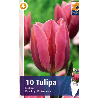 Семена Тюльпаны Pretty Princess (R. De Ree)