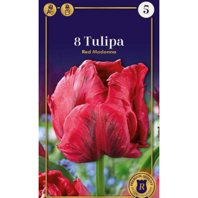 Семена Тюльпаны Red Madonna (R. De Ree)