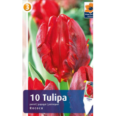 Семена Тюльпаны Rococo (R. De Ree)