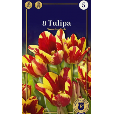 Семена Тюльпаны Wonder Club (R. De Ree)
