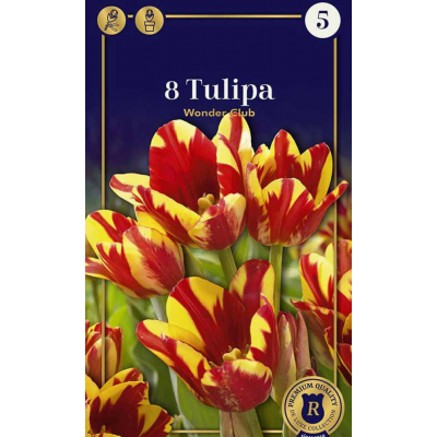 Семена Тюльпаны Wonder Club (R. De Ree)