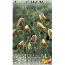 Семена Фритиллярия acmopetala (Lefeber)